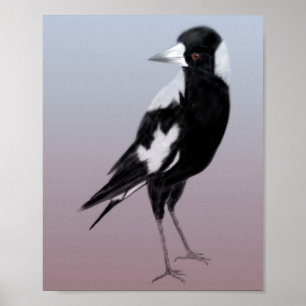 Black white bird art magpie bird poster