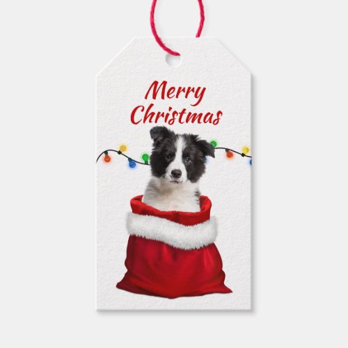Black White Border Collie Puppy in Santa Bag Gift Tags