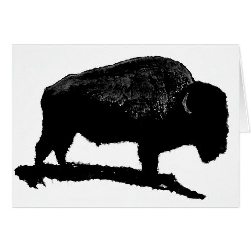 Black  White Buffalo