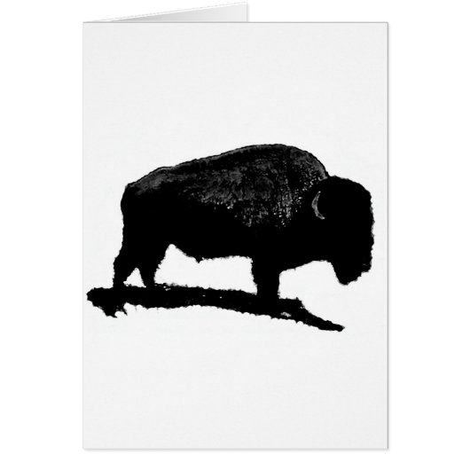 Black & White Buffalo Cards (Front)