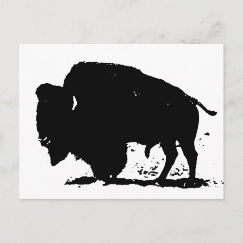 Black  White Buffalo Silhouette Postcard