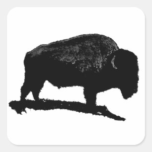 Black & White Buffalo Square Sticker