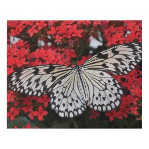 Black & White Butterfly Faux Canvas Print