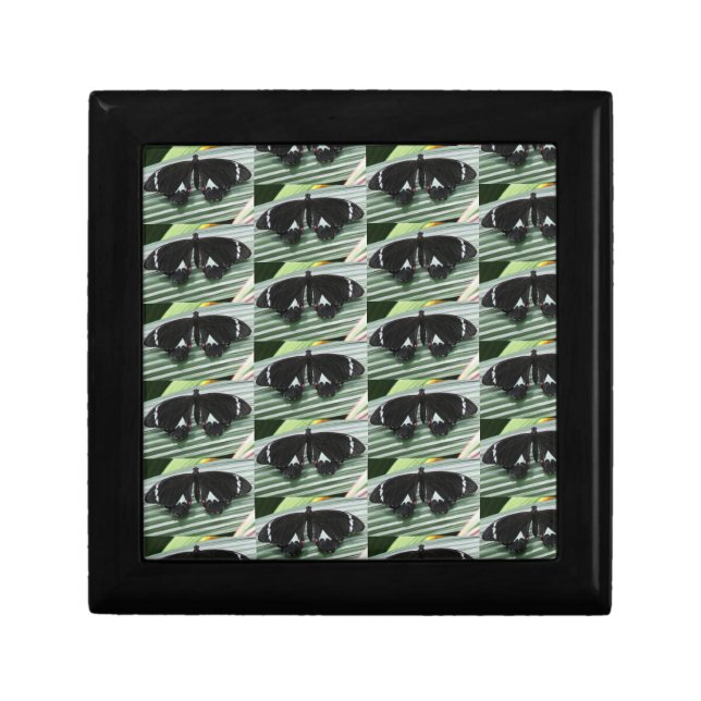 Black & White Butterfly Jewelry Box (Front)