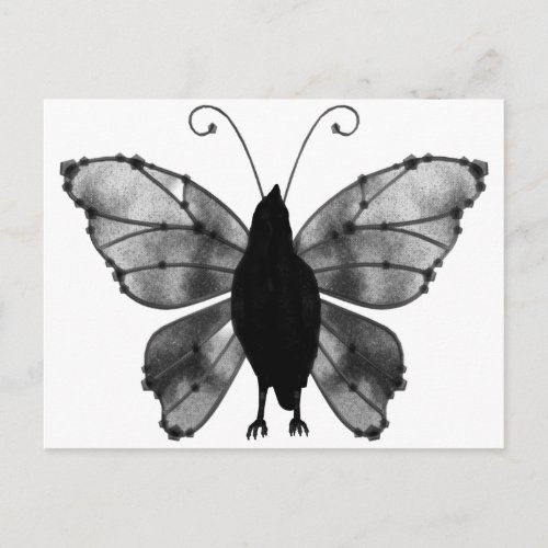 Black  White Butterfly Raven Postcard