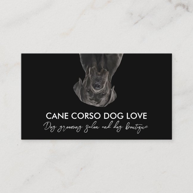 Black White Cane Corso Dog Business Card