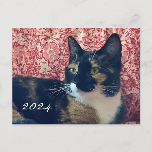 Black White Cat 2024 Calendar on Back Postcard