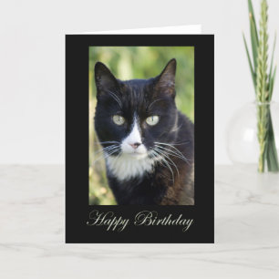 Black & White Cat, blank birthday card