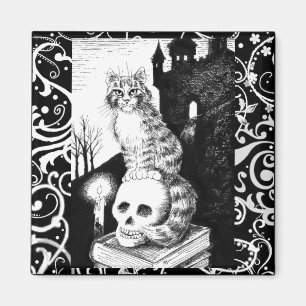 Black & White Cat Halloween kitten skull magnet
