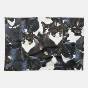 Black White Cat Madness Towel