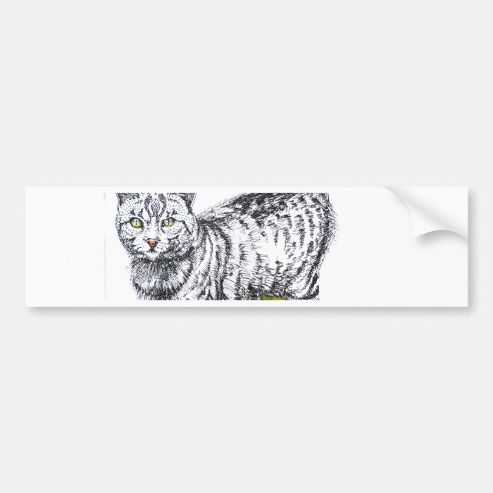 Black white cat pencil drawing bumper stickers