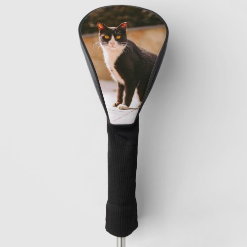 Black white Cat Photo Golf Head Cover