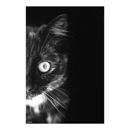 Black white cat portrait photo vertical poster
