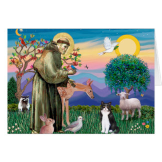 Black & White Cat - Saint Francis Cards