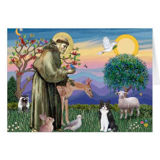 Black & White Cat - Saint Francis Cards (Front Horizontal)