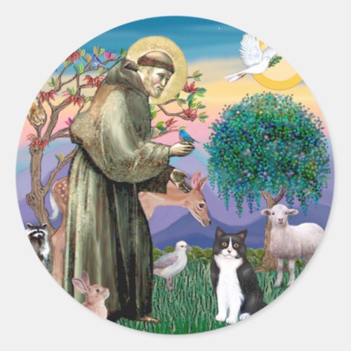 Black  White Cat _ Saint Francis Classic Round Sticker