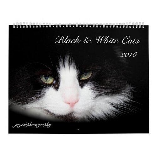 BLACK  WHITE CATS 2018 CALENDAR