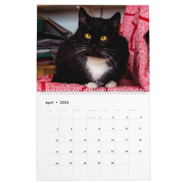 Black & White Cats & Kittens  Kitty Cat  2021 Calendar (Apr 2026)