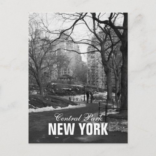 Black White Central Park New York Postcard