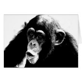 Black White Chimpanzee (Front Horizontal)