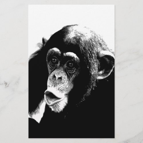 Black White Chimpanzee