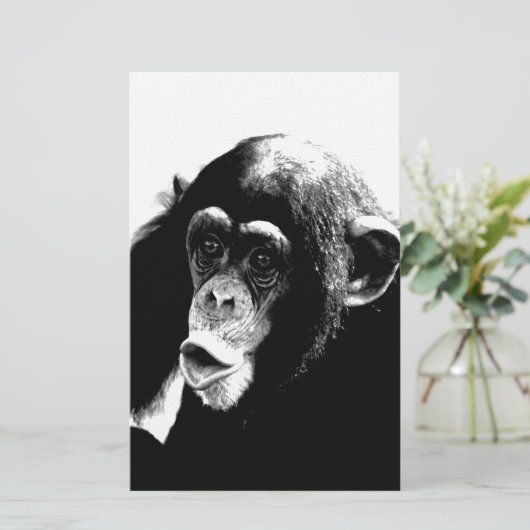 Black White Chimpanzee (Standing Front)