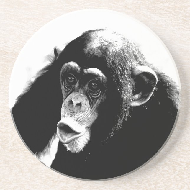 Black White Chimpanzee Drink Coaster (Front)
