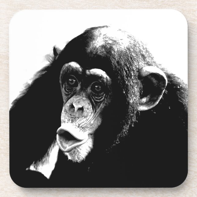 Black White Chimpanzee Drink Coaster (Front)