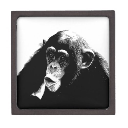 Black White Chimpanzee Jewelry Box