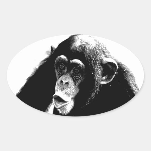 Black White Chimpanzee Oval Sticker