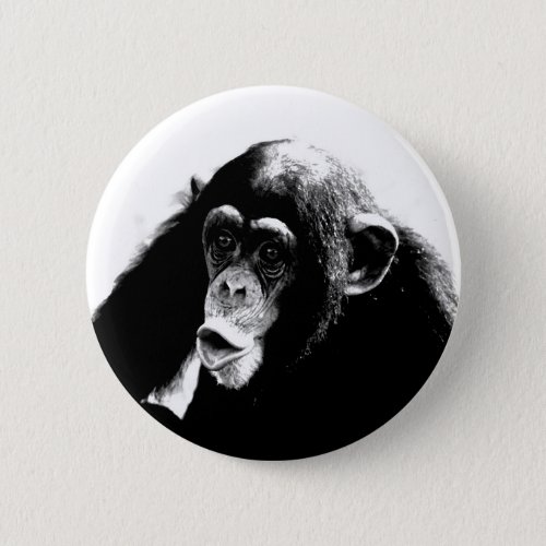 Black White Chimpanzee Pinback Button