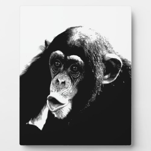 Black White Chimpanzee Plaque