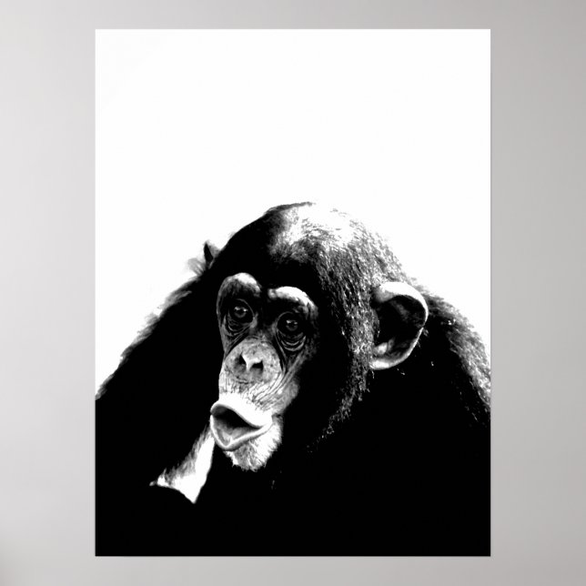 Black White Chimpanzee Poster (Front)