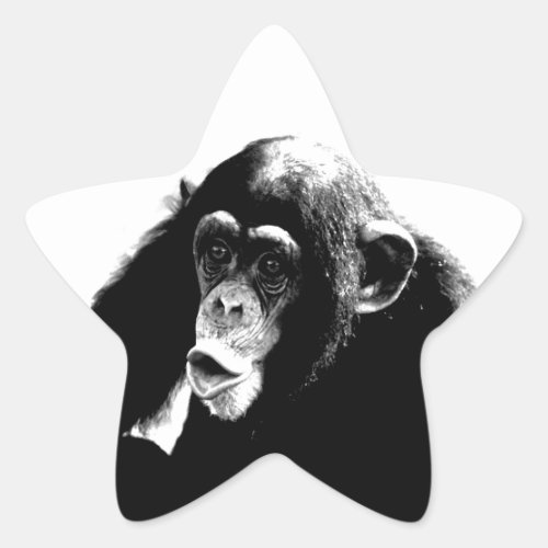 Black White Chimpanzee Star Sticker