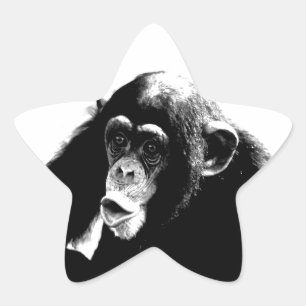 Black White Chimpanzee Star Sticker