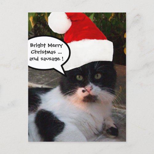 BLACK WHITE CHRISTMAS CAT WITH SANTA CLAUS HAT HOLIDAY POSTCARD