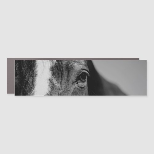 Black  White Close_up Horse Eye Artwork Car Magnet