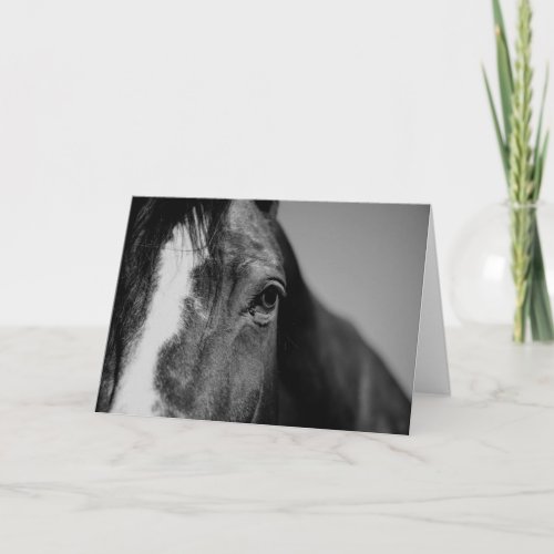 Black  White Close_up Horse Eye Artwork Card