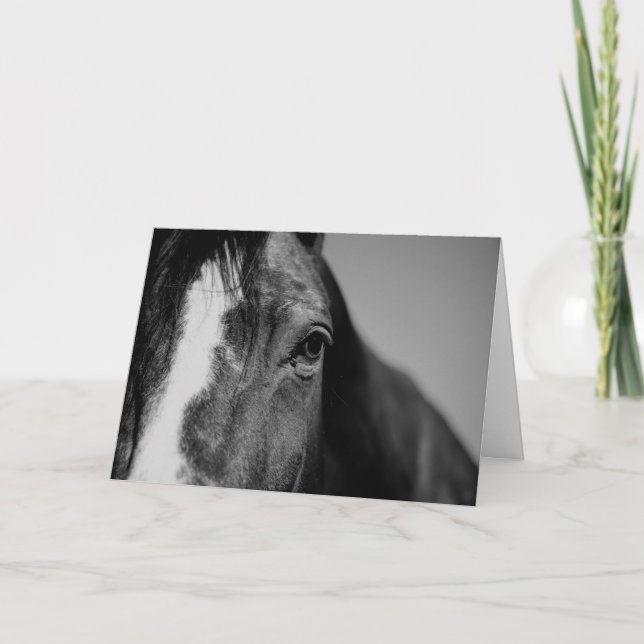 Black & White Close-up Horse Eye Artwork Card (Front)