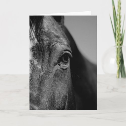 Black  White Close_up Horse Eye Artwork Card