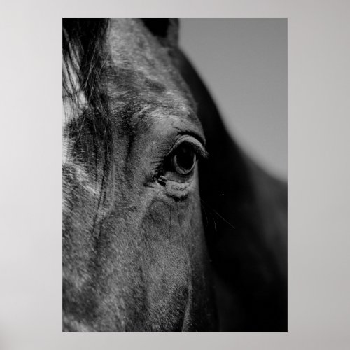 Black  White Close_up Horse Eye Artwork Poster