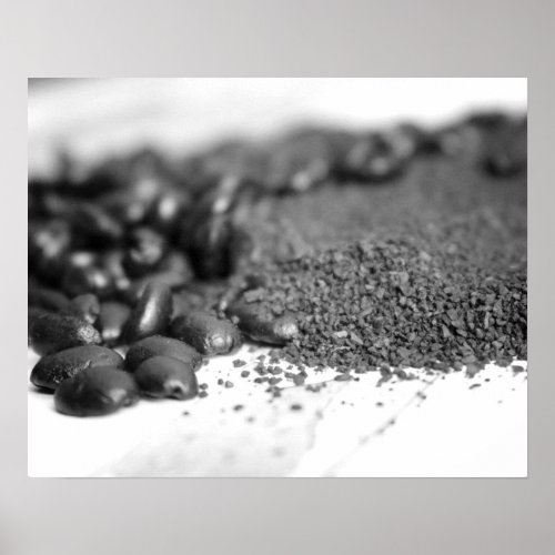 Black  White Coffee Beans  Coffee Grounds 16x20 Poster