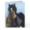 Black & White Comes Close Wild Horse Greeting Card