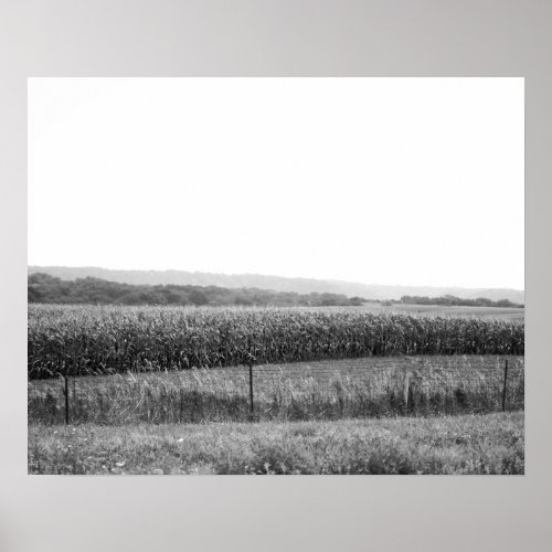 Black  White Cornfield Landscape with Trees 16x20 Poster