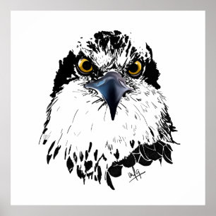 Black White Drawing of an Osprey "King of Birds" Poster