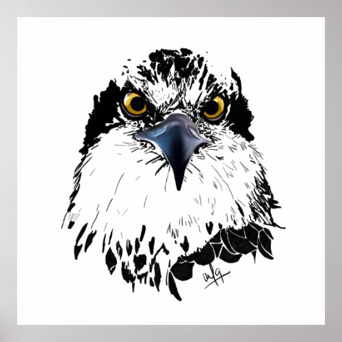 Black White Drawing of an Osprey King of Birds Poster