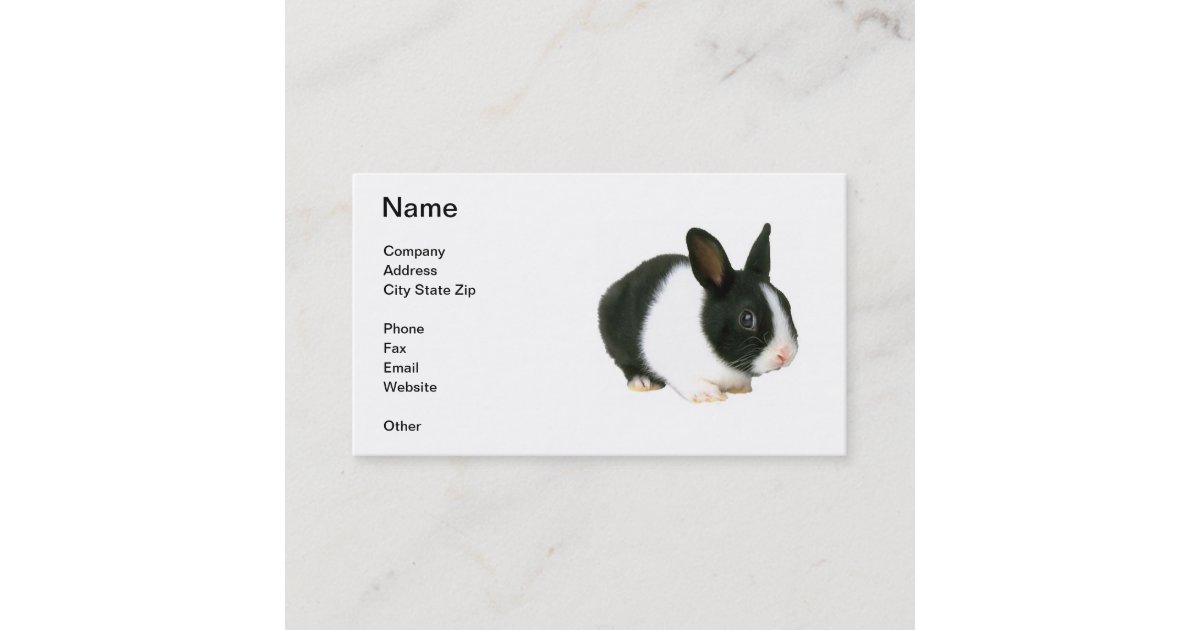 Black & White Dwarf Bunny Rabbit Business Card