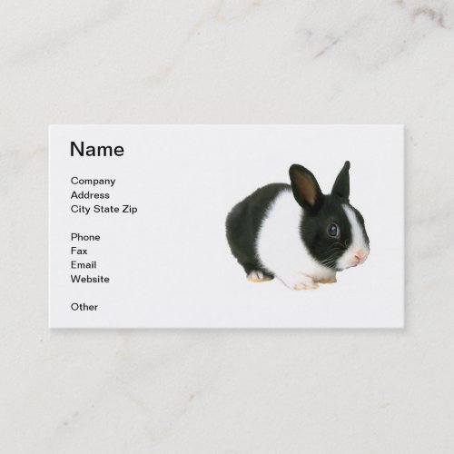 Black &amp; White Dwarf Bunny Rabbit Business Card