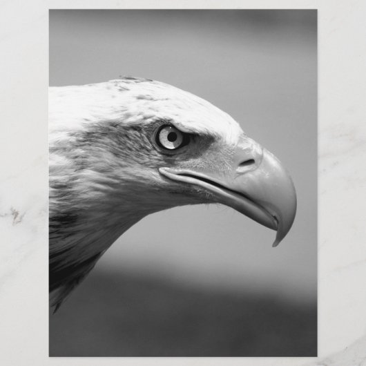 Black & White Eagle Eye (Front)