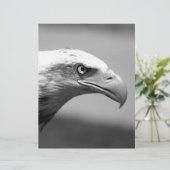 Black & White Eagle Eye (Standing Front)